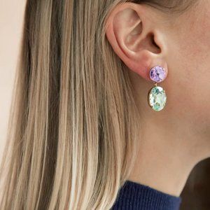 Roxanne Assoulin Earrings